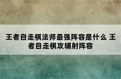 王者自走棋法师最强阵容是什么 王者自走棋攻辅射阵容